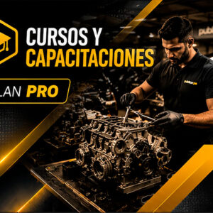 Plan PRO